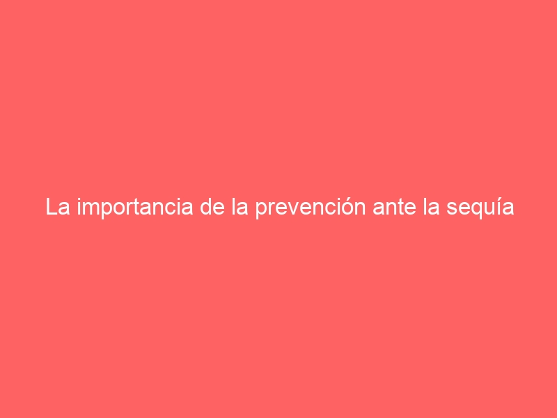 La importancia de la prevención ante la sequía