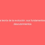 La teoría de la evolución: sus fundamentos y descubrimientos