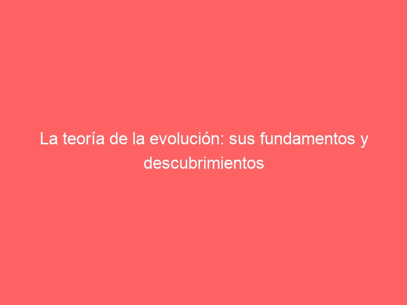 La teoría de la evolución: sus fundamentos y descubrimientos
